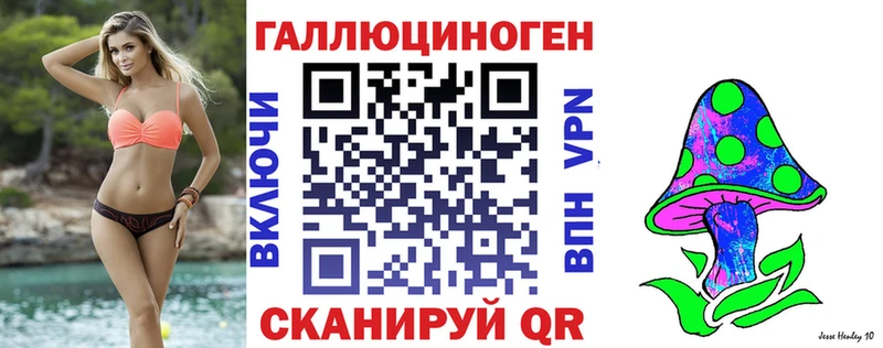 blacksprut ССЫЛКА  Темников  Псилоцибиновые грибы прущие грибы 